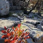 Giuseppina - Piscina Ad Uso Esclusivo Villa
