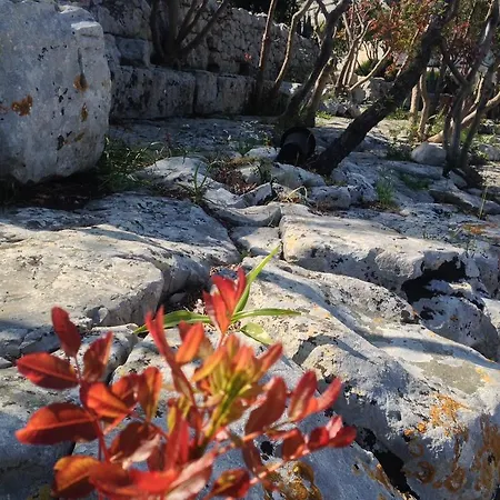 Giuseppina ヴィラ