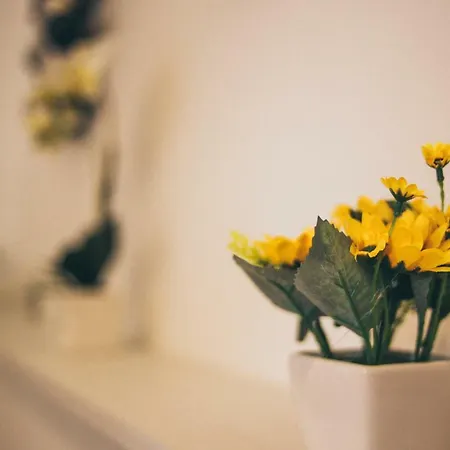 Villa Giuseppina Monopoli